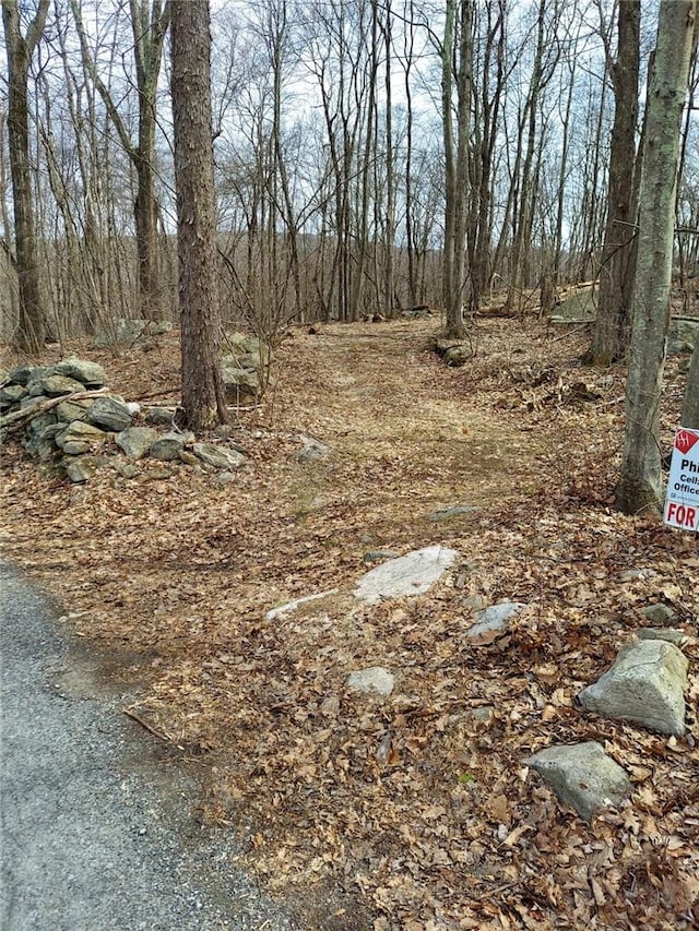 489 Grape Hollow Rd, Holmes NY, 12531 land for sale