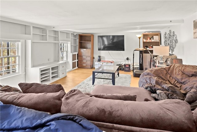 living room featuring light hardwood / wood-style floors