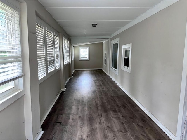 hall with dark hardwood / wood-style floors and a wealth of natural light