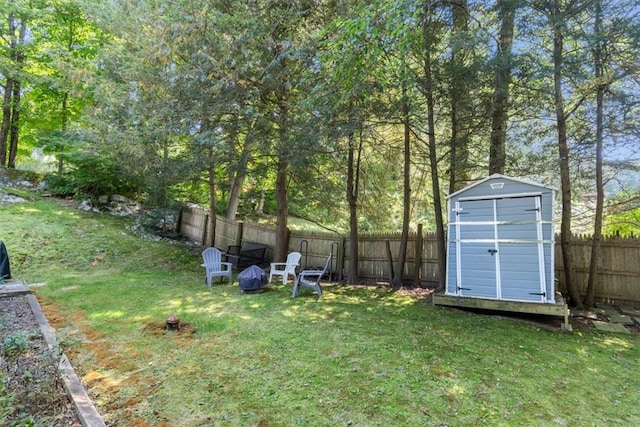 view of yard with a storage unit