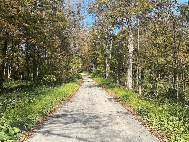 Westfall, Ancram, NY 12502 - photo 2