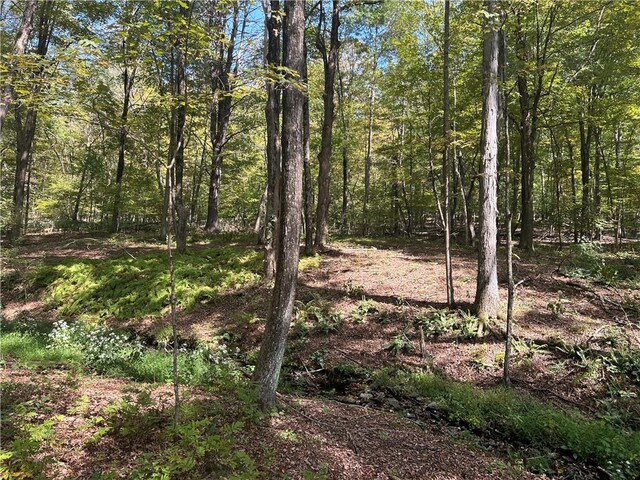 Westfall, Ancram, NY 12502 - photo 3