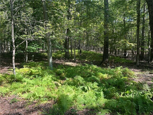 Westfall, Ancram, NY 12502 - photo 7