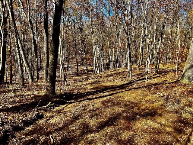 Westfall, Ancram, NY 12502 - photo 14