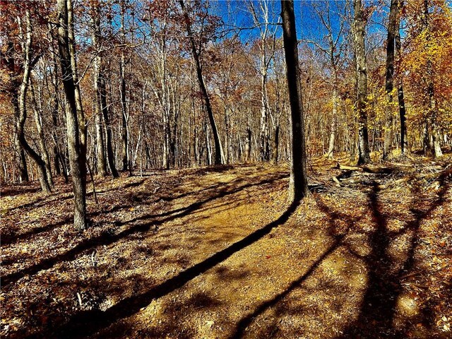 Westfall, Ancram, NY 12502 - photo 12