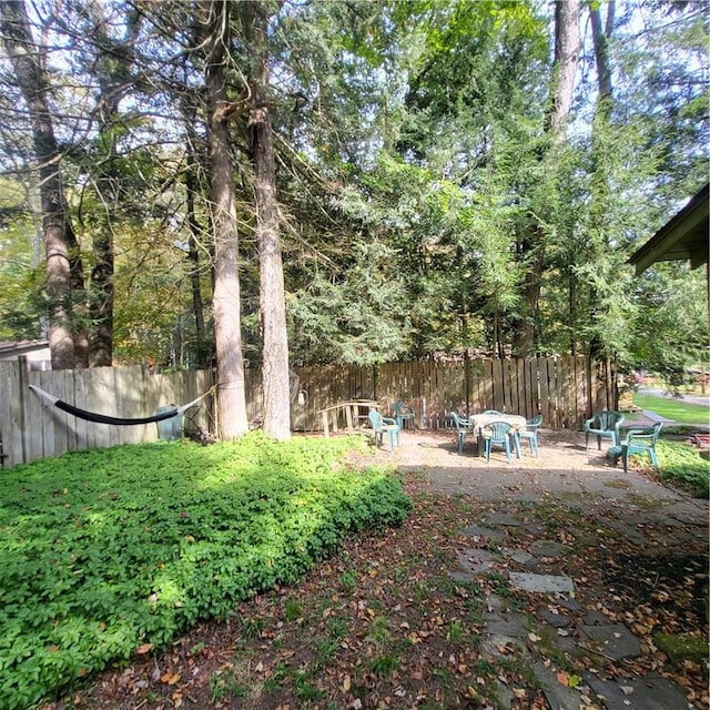 view of yard featuring a patio