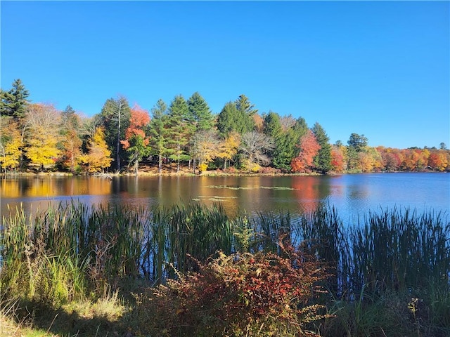 water view