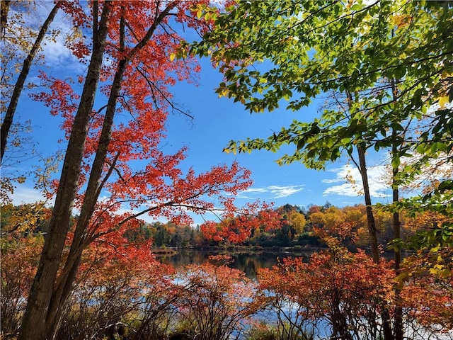 view of landscape featuring a water view