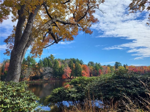 property view of water