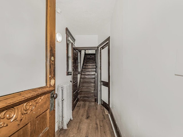 hallway with hardwood / wood-style floors and radiator heating unit