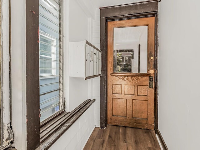 hall with dark hardwood / wood-style flooring and mail boxes