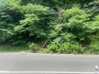 Van Duzer, Staten Island NY, 10304 land for sale