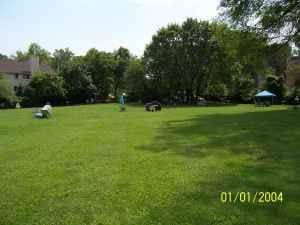 view of home's community featuring a yard