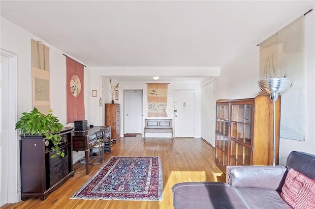 living room with hardwood / wood-style floors