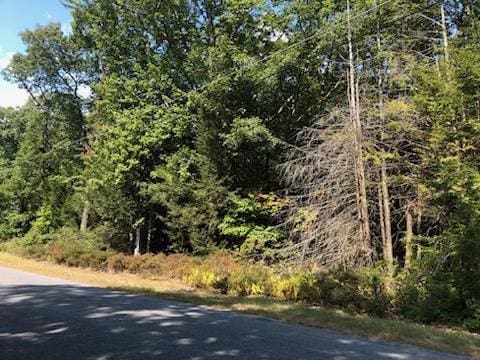 Renner Rd, Fallsburg NY, 12733 land for sale