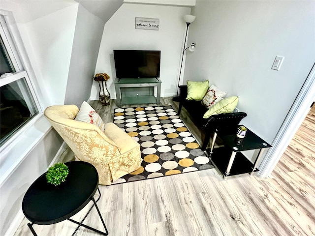 living room with lofted ceiling and wood-type flooring