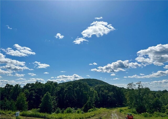 32 Mountainside Dr, Chester, NY 10918 - photo 1