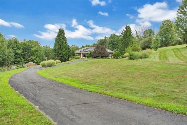 view of property's community with a lawn