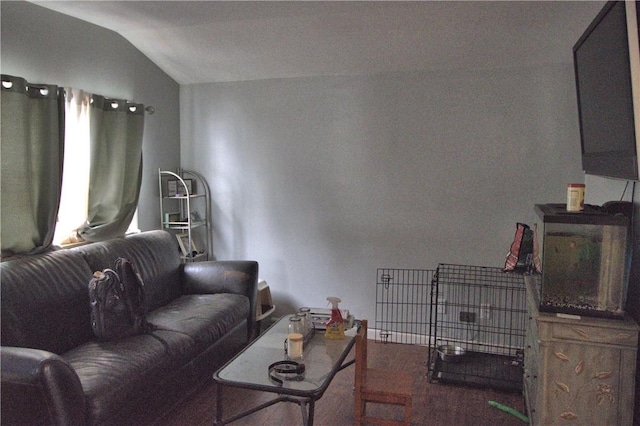 living room with lofted ceiling