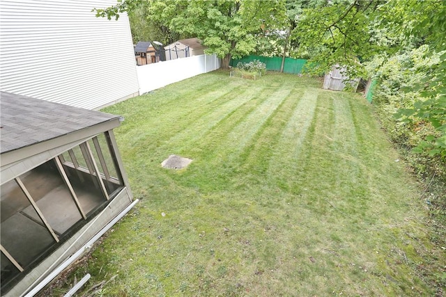 view of yard with a shed