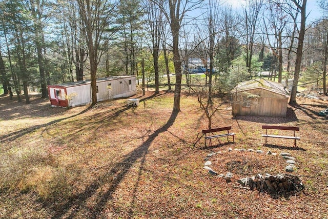 view of yard with a storage unit