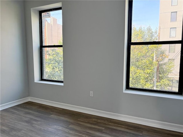 empty room featuring dark hardwood / wood-style floors and a wealth of natural light