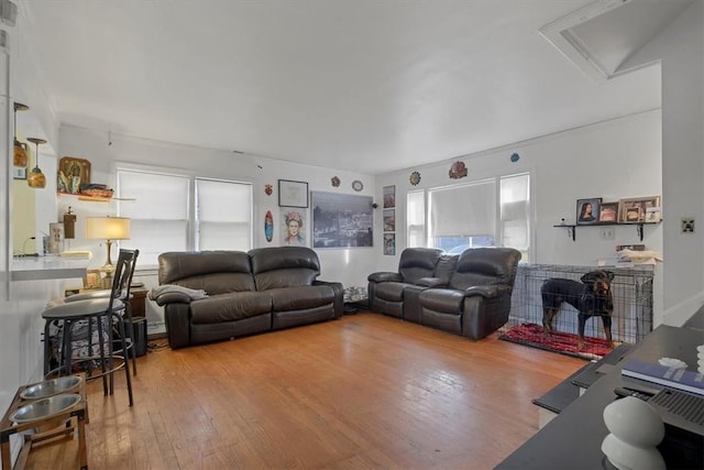 living room featuring wood-type flooring