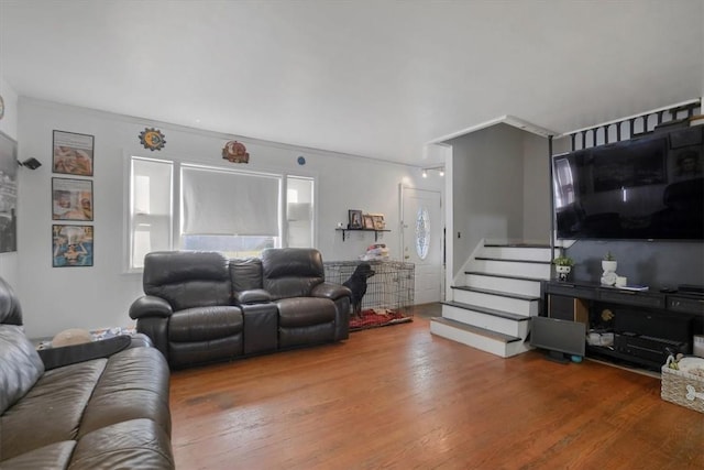 living room with crown molding and wood-type flooring