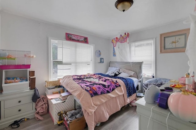 bedroom featuring dark wood-type flooring and multiple windows