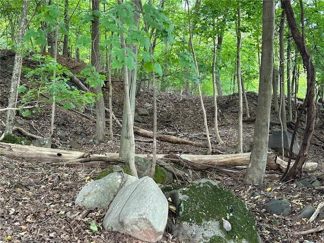 63 Westside Ave, Haverstraw, NY 10927 - photo 8