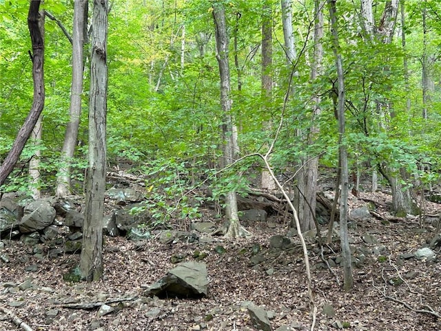 63 Westside Ave, Haverstraw, NY 10927 - photo 9