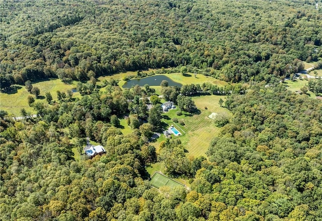 570 Pumpkin Ln, Clinton Corners, NY 12514 - photo 37