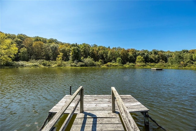570 Pumpkin Ln, Clinton Corners, NY 12514 - photo 39
