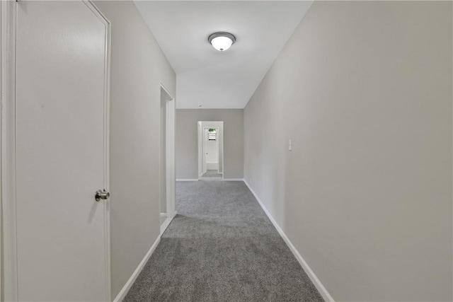 hallway with carpet floors