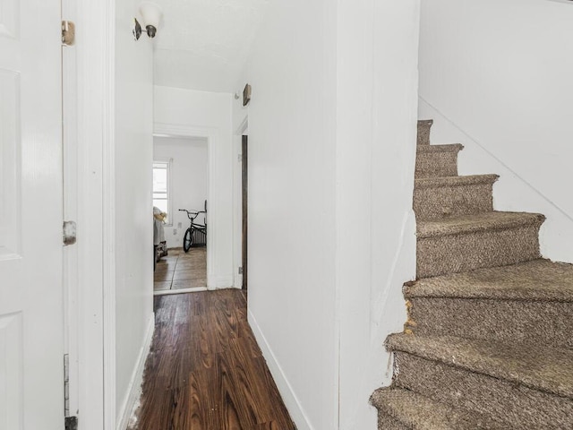 staircase with hardwood / wood-style flooring