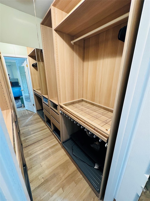 spacious closet featuring light hardwood / wood-style flooring