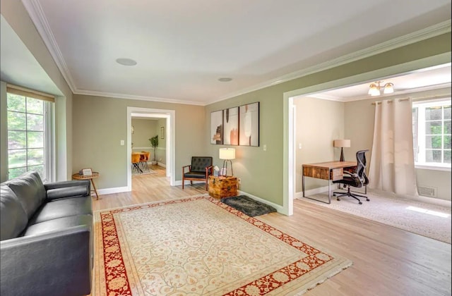 living room with crown molding, light hardwood / wood-style flooring, a chandelier, and plenty of natural light