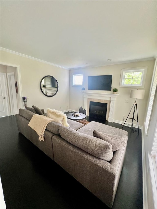 living room featuring crown molding