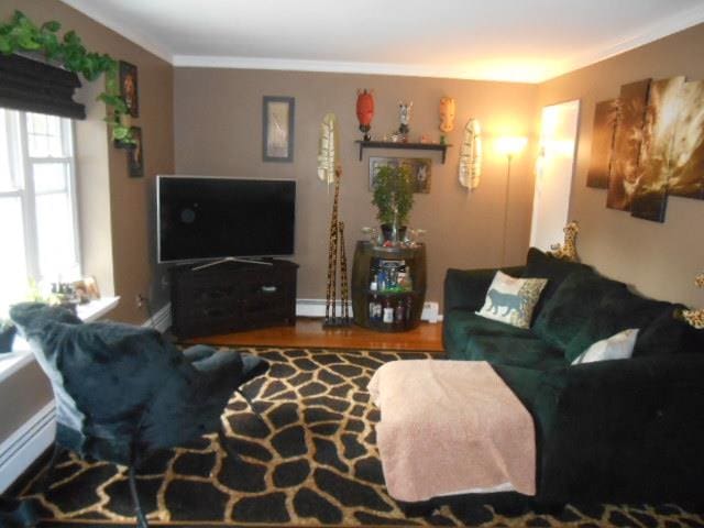 living room featuring a baseboard heating unit and crown molding