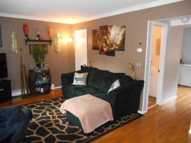 living room with wood-type flooring, a baseboard radiator, and ornamental molding