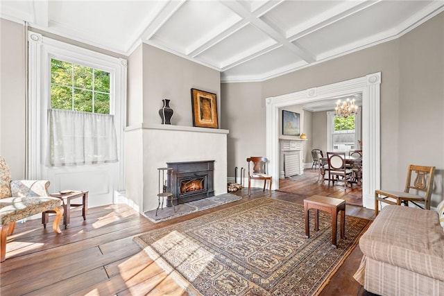 living room featuring hardwood / wood-style flooring, plenty of natural light, coffered ceiling, and beam ceiling