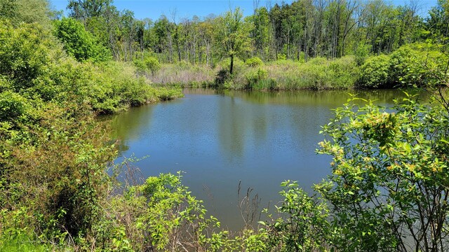 3715 Rte 44, Millbrook, NY 12545 - photo 6