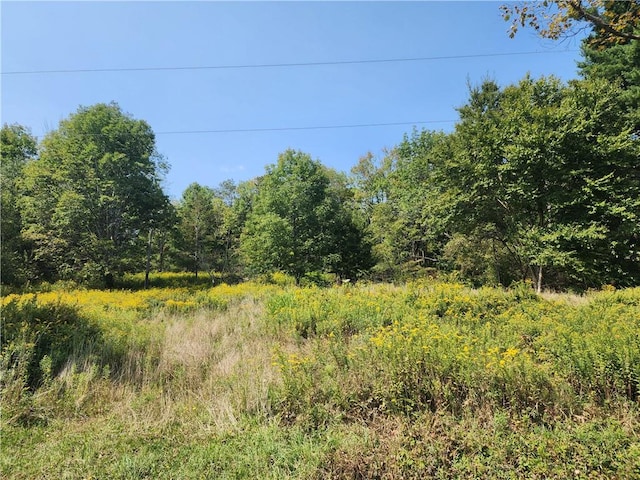 231 County Road 92, Roscoe NY, 12776 land for sale