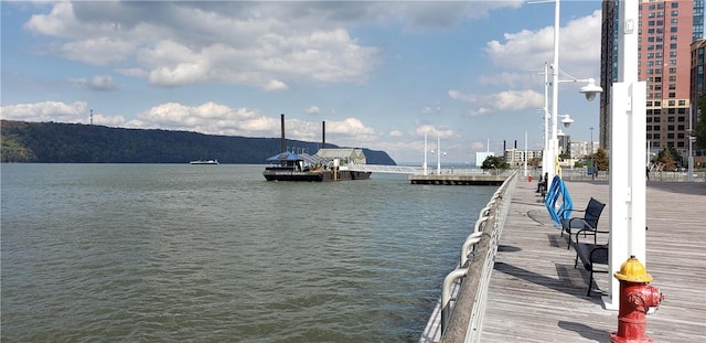 dock area with a water view