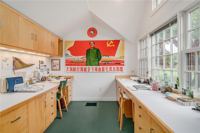 interior space with lofted ceiling and light brown cabinetry