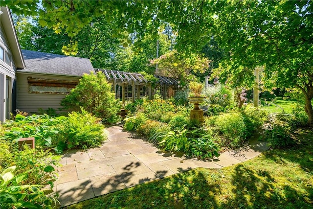 view of yard featuring a patio area