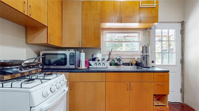 kitchen featuring white gas range, sink, and hardwood / wood-style floors