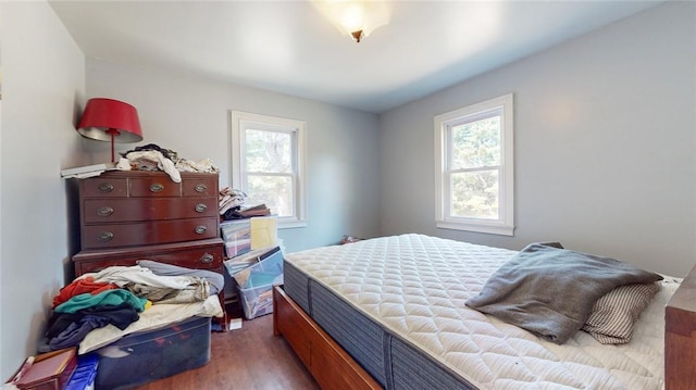 bedroom featuring multiple windows and dark hardwood / wood-style flooring