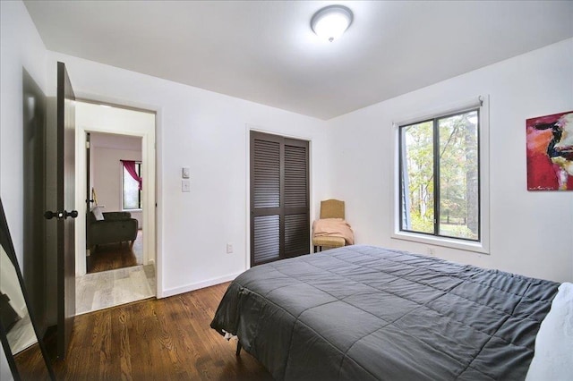 bedroom with dark hardwood / wood-style flooring and a closet