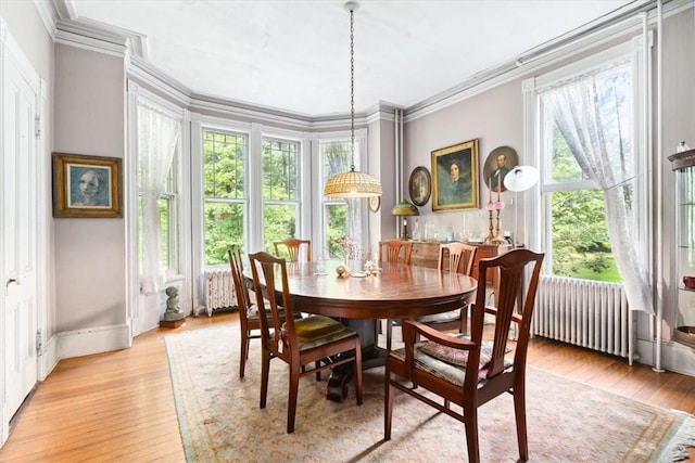 dining space with ornamental molding, radiator heating unit, and light wood-type flooring